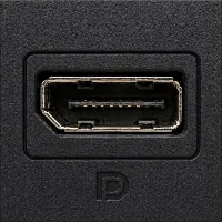 DisplayPort Buchse