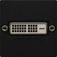 DVI-D (Dual Link) Buchse